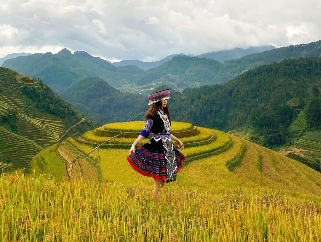 Đồi Mâm Xôi